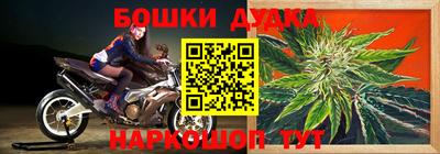 ГАЛЛЮЦИНОГЕННЫЕ ГРИБЫ Пыть-Ях