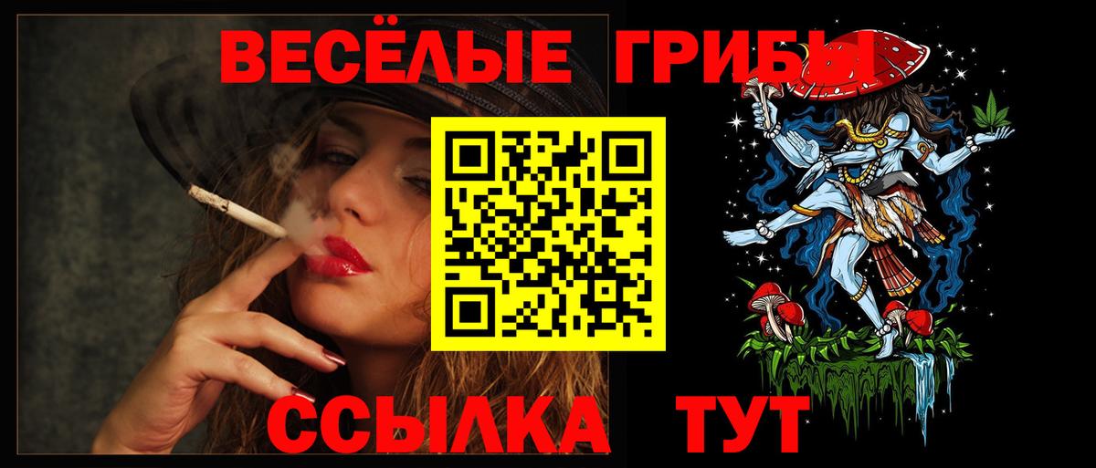 Псилоцибиновые грибы Psilocybine cubensis  Вход с VPN  Партизанск  Галлюциногенные грибы Psilocybine cubensis 